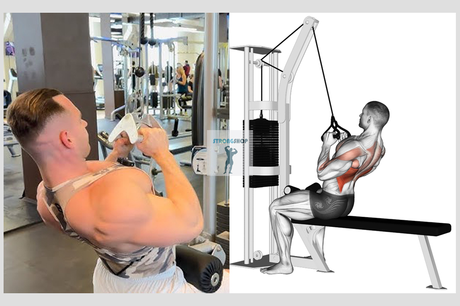 Narrow Parallel Grip Lat Pulldown