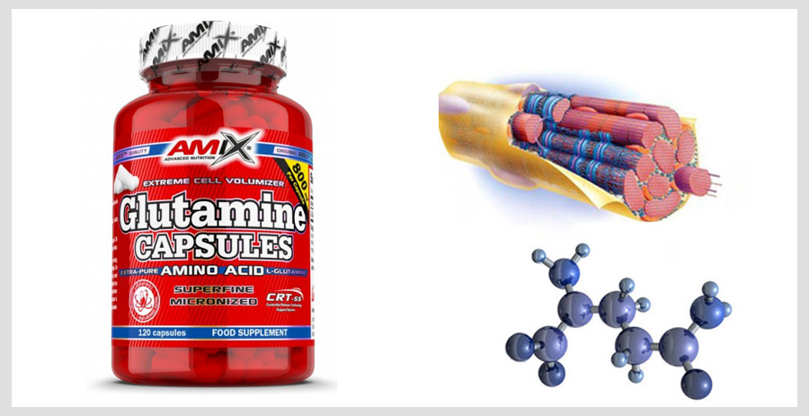 What is glutamine, its use and intake