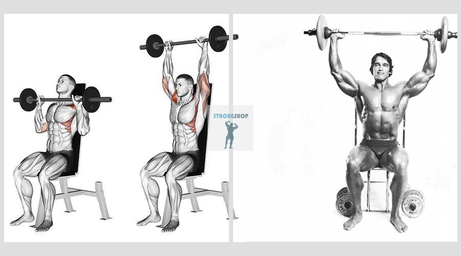 Seated Barbell Shoulder Press