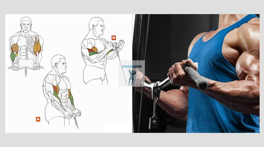 Cгибания рук на бицепс в блочном тренажере