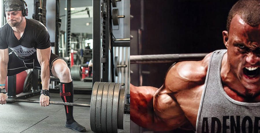 Increasing muscle strength in bodybuilding