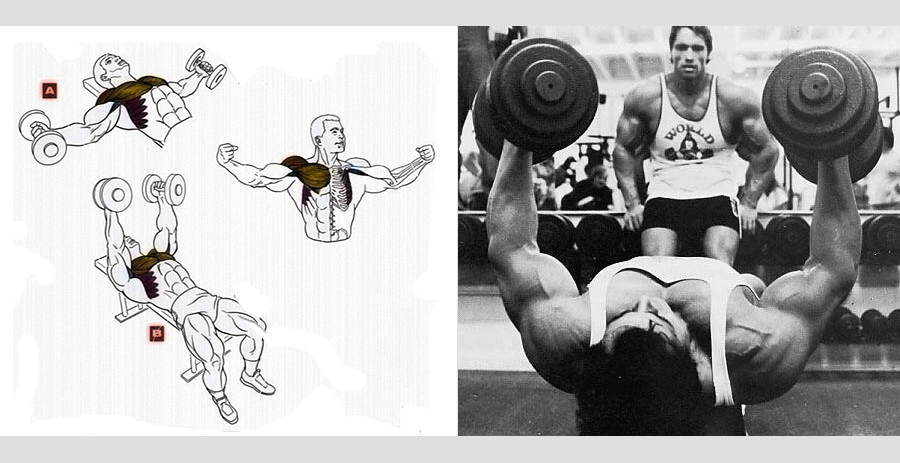 Reduction and breeding of dumbbells lying down