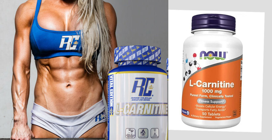 What is L-carnitine, its properties and intake