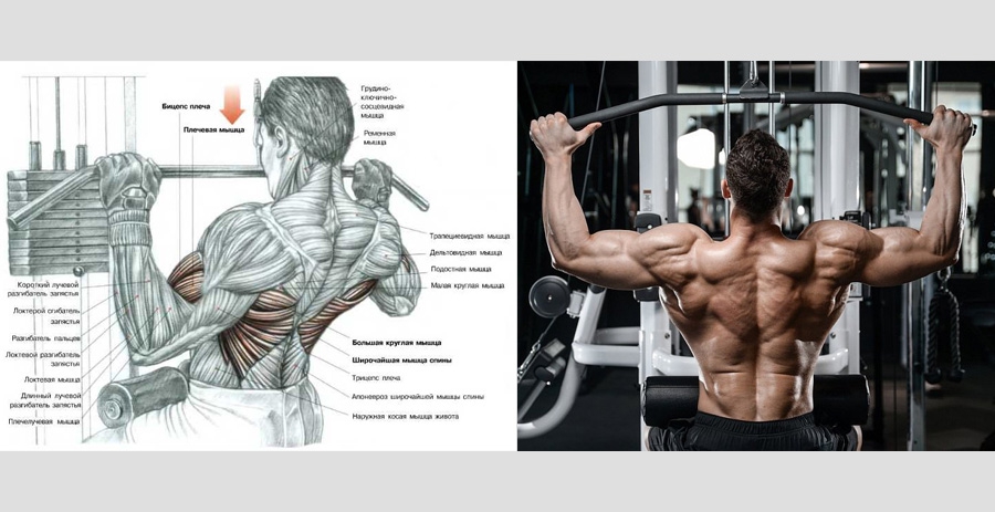 Pull of the upper block to the chest