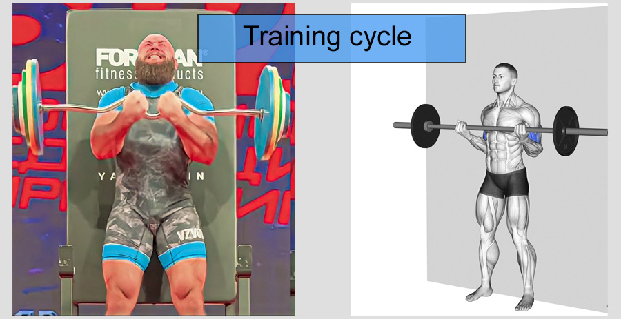 Strict Curl Training Program